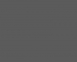 Nulla consectetur nisi