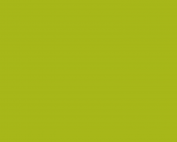 Proin non ligula luctus